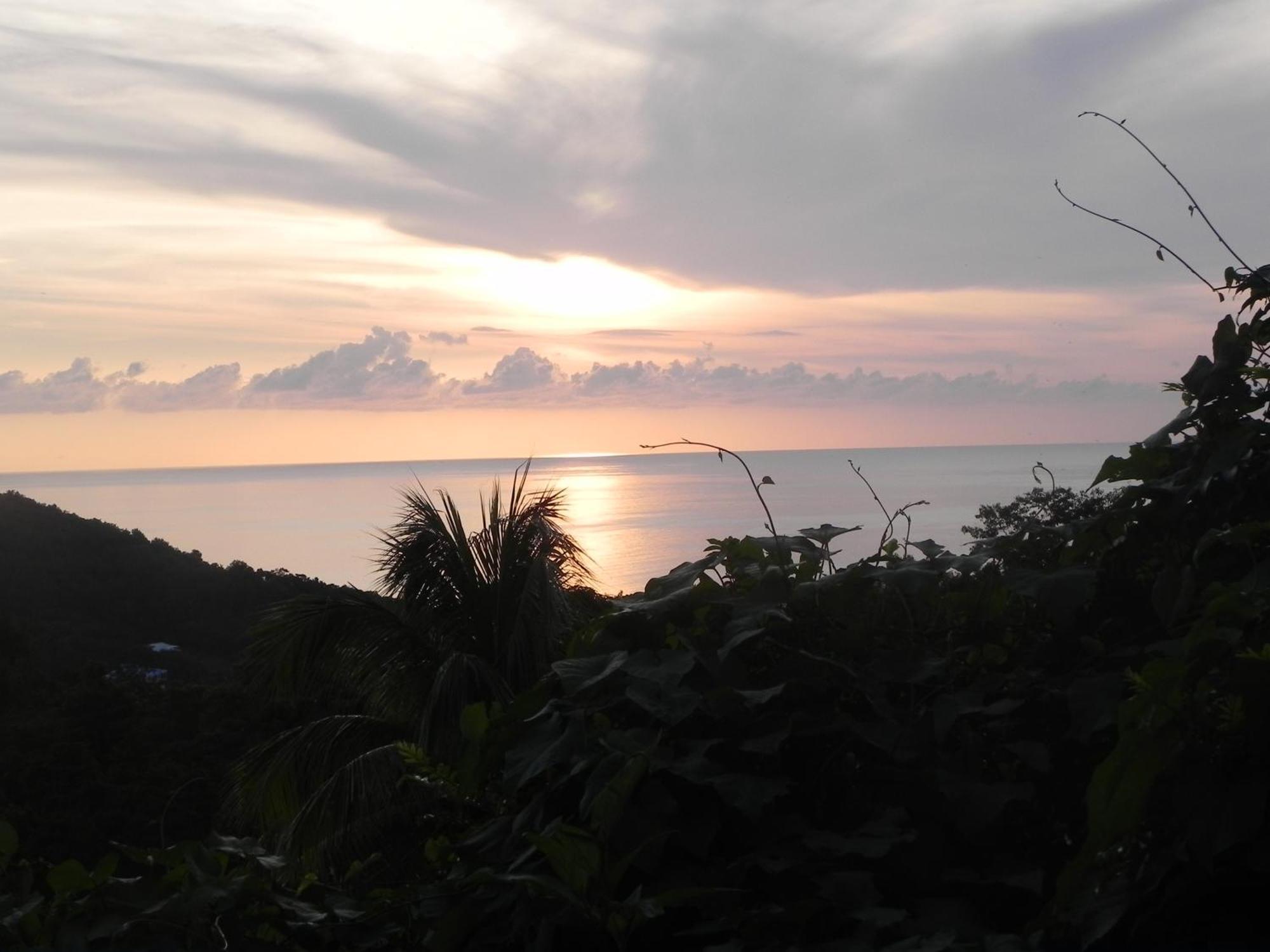 Villa MIELéCAJOU, entre mer et montagne Deshaies Esterno foto
