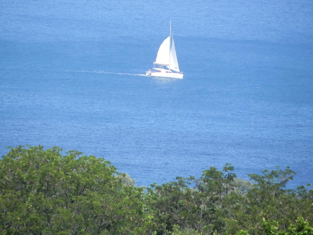Villa MIELéCAJOU, entre mer et montagne Deshaies Esterno foto